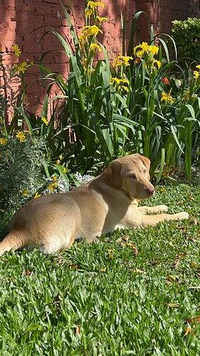 WhatsApp Image 2025-08-17 at 01.19.23